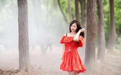 日本樱花云服务器黄页